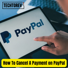 How To Cancel A Payment on PayPal