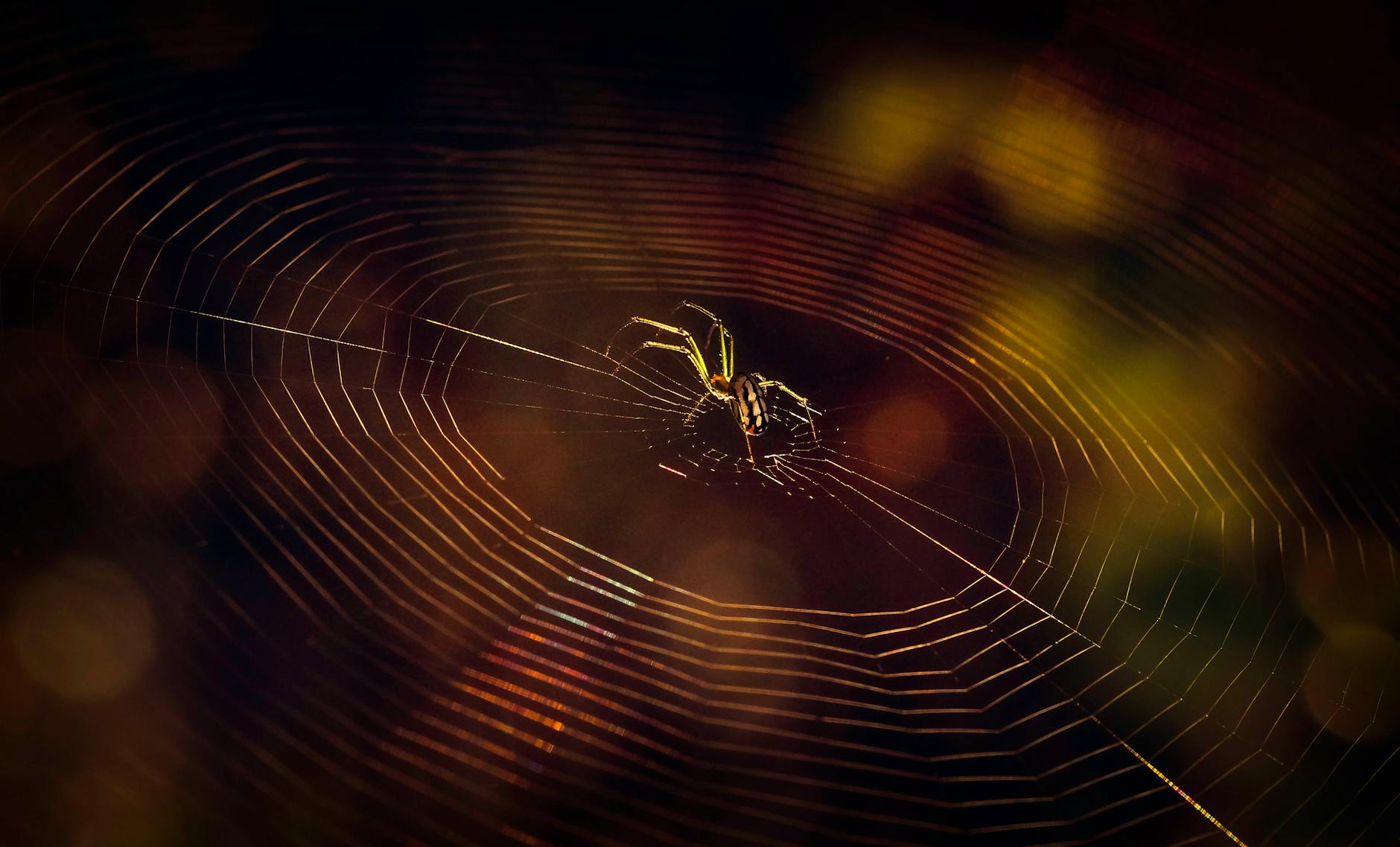 dark web explained for beginners